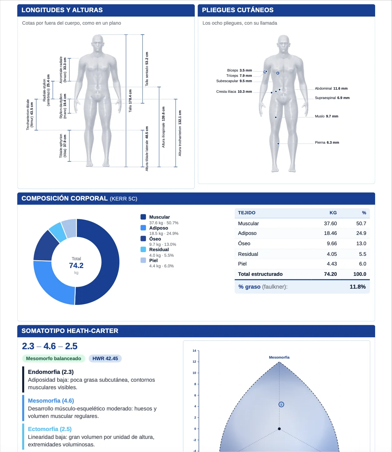 El informe de antropometría de Mithox en papel: longitudes y alturas sobre la figura, los ocho pliegues cutáneos, la composición corporal en cinco componentes con su gráfico y el somatotipo de Heath-Carter